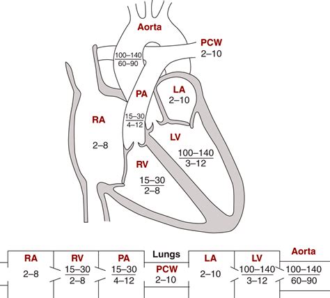 normal heart pressures by chamber